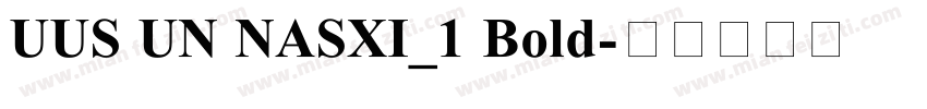 UUS UN NASXI_1 Bold字体转换